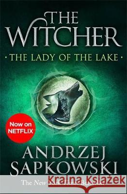 The Lady of the Lake: Witcher 5 – Now a major Netflix show Andrzej Sapkowski 9781473231122 Orion Publishing Co