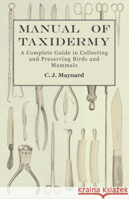 Manual of Taxidermy - A Complete Guide in Collecting and Preserving Birds and Mammals C J Maynard 9781473324473 Read Books