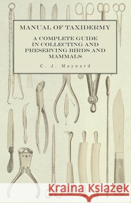 Manual of Taxidermy - A Complete Guide in Collecting and Preserving Birds and Mammals C. J. Maynard 9781473327917 Read Country Books