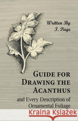 Guide for Drawing the Acanthus, and Every Description of Ornamental Foliage I Page   9781473328754 Owen Press