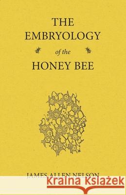 The Embryology of the Honey Bee James Allen Nelson 9781473334403 Read Books