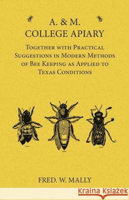 A. & M. College Apiary - Together with Practical Suggestions in Modern Methods of Bee Keeping as Applied to Texas Conditions Fred W. Mally 9781473334458 