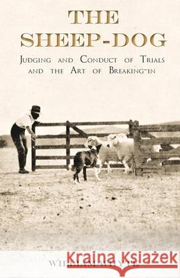 The Sheep-Dog - Judging and Conduct of Trials and the Art of Breaking-in;A Comprehensive and Practical Text-Book Dealing with the System of Judging Sh Whyte, William 9781473336148 Read Books