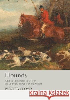 Hounds - With 16 Illustrations in Colour and 75 Pencil Sketches by the Author Ivester Lloyd   9781473336322 Read Country Books