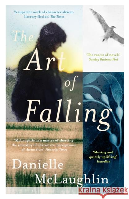 The Art of Falling MCLAUGHLIN  DANIELL 9781473613690