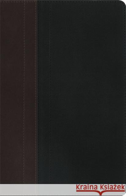 NIV Study Bible Brown/Tan Duo-Tone Personal Size New International Version 9781473615526 John Murray Press