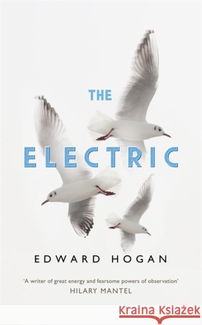 The Electric Edward Hogan 9781473669550