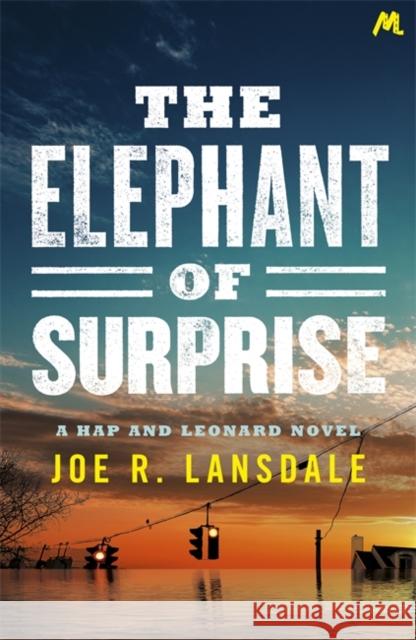 The Elephant of Surprise Joe R. Lansdale 9781473678101 Hodder & Stoughton