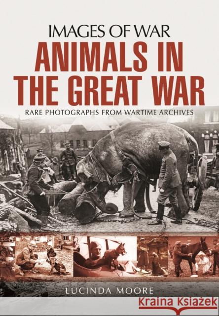 Animals in the Great War Lucinda Moore 9781473862111 Pen & Sword Books