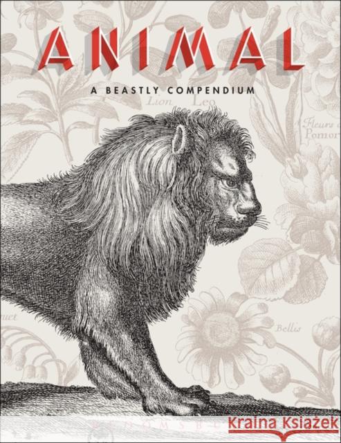 Animal: A Beastly Compendium Sueur-Hermel, Valérie 9781474274944 Bloomsbury Visual Arts