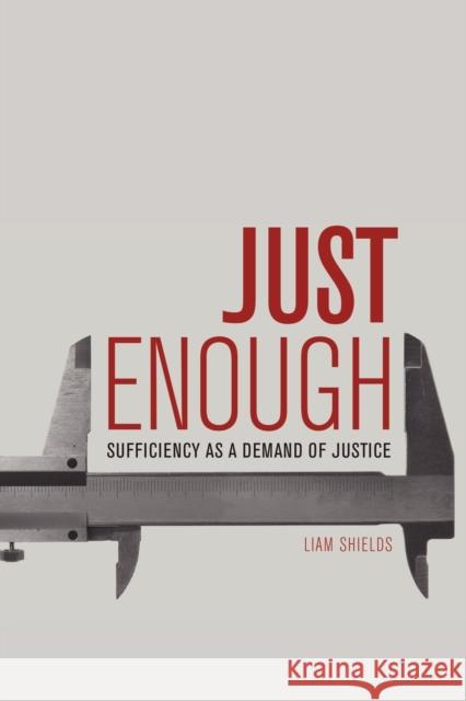 Just Enough: Sufficiency as a Demand of Justice Liam Shields 9781474432603 Edinburgh University Press