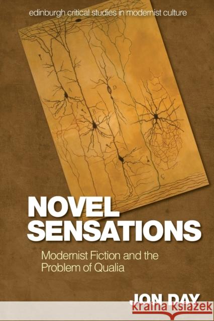 Novel Sensations: Modernist Fiction and the Problem of Qualia Jon Day 9781474458405 Edinburgh University Press