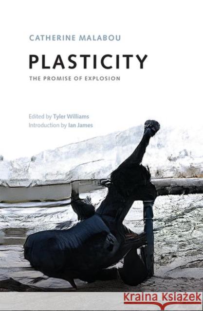 Plasticity: The Promise of Explosion Catherine Malibou Ian James 9781474462112 Edinburgh University Press