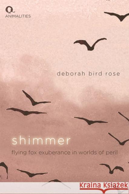 Shimmer: Flying Fox Exuberance in Worlds of Peril Deborah Bird Rose 9781474490399 Edinburgh University Press