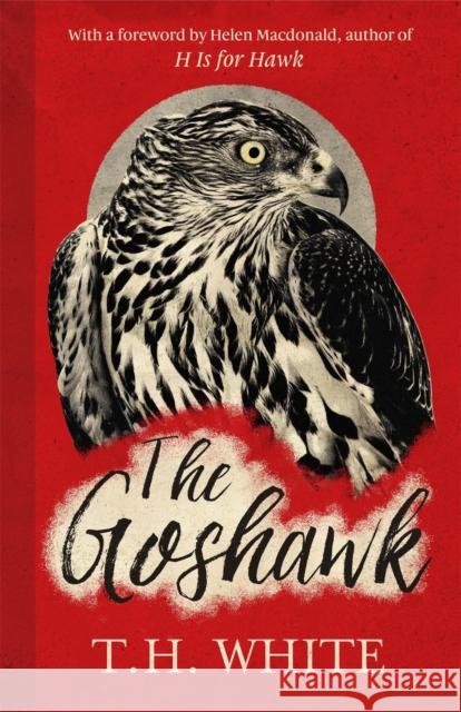 The Goshawk: With a foreword by Helen Macdonald T. H. White 9781474601665 WEIDENFELD & NICOLSON