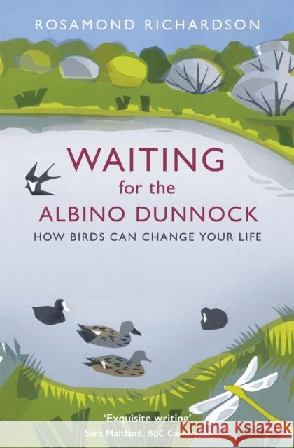 Waiting for the Albino Dunnock: How birds can change your life Rosamond Richardson 9781474603010 Orion Publishing Co