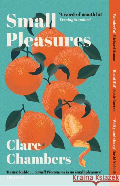 Small Pleasures: Longlisted for the Women's Prize for Fiction Clare Chambers 9781474613903