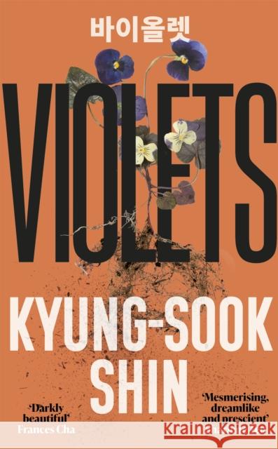 Violets: From the bestselling author of Please Look After Mother Kyung-Sook Shin 9781474623551