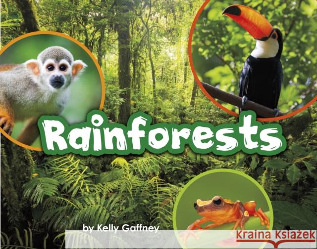 Rainforests  Raintree 9781474730013 Raintree