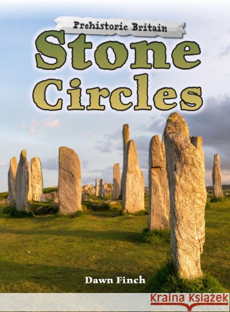 Stone Circles Dawn Finch 9781474730471 Capstone Global Library Ltd