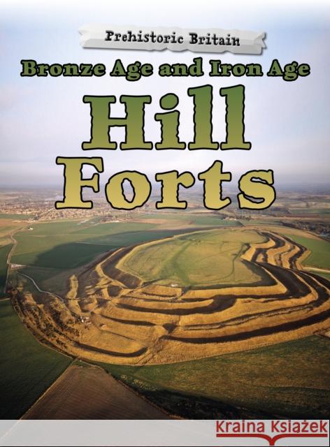 Bronze Age and Iron Age Hill Forts Dawn Finch 9781474730488 Capstone Global Library Ltd