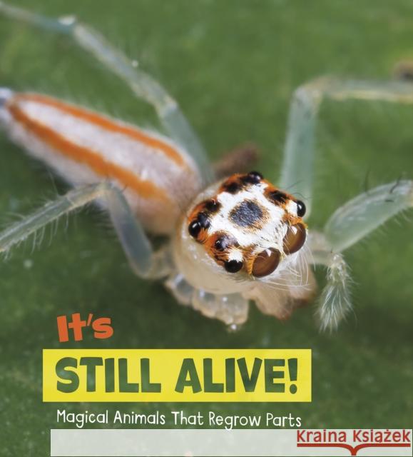 It's Still Alive! Nikki Potts 9781474751612