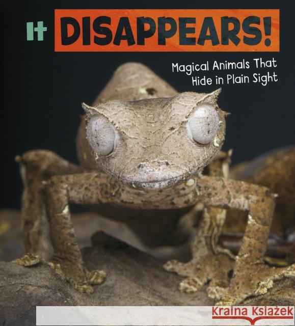 It Disappears! Magical Animals That Hide in Plain Sight Potts, Nikki 9781474751636