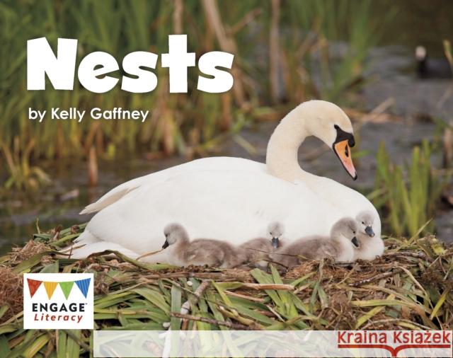 Nests Gaffney, Kelly 9781474755627