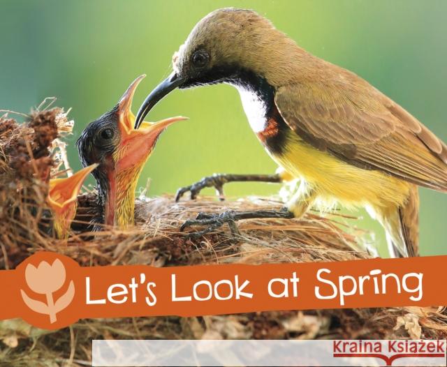 Let's Look at Spring Sarah L. Schuette 9781474756648