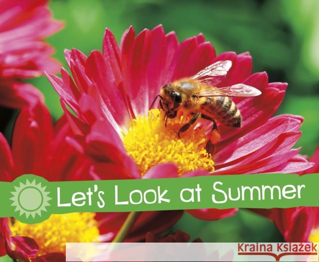 Let's Look at Summer Sarah L. Schuette 9781474756655