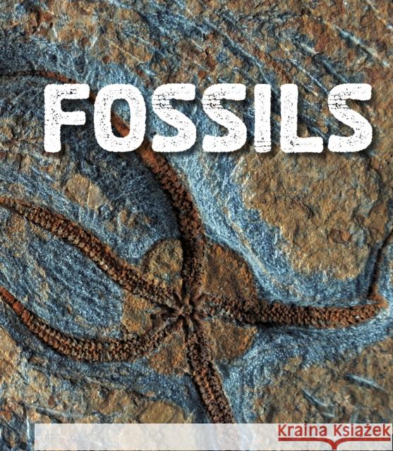 Fossils Ava Sawyer 9781474760249 Capstone Global Library Ltd