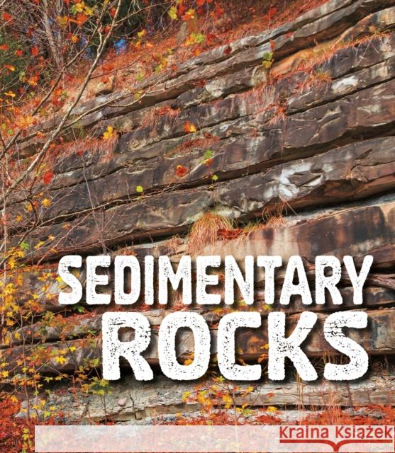 Sedimentary Rocks Ava Sawyer 9781474760270