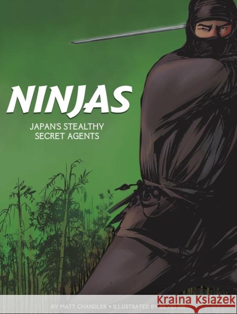 Ninjas: Japan's Stealthy Secret Agents Matt Chandler 9781474768603