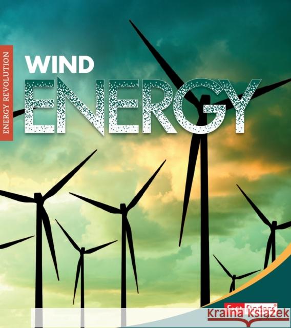 Wind Energy M. M. Eboch 9781474769945 Capstone Global Library Ltd