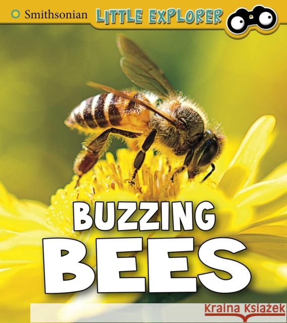 Buzzing Bees Melissa Higgins 9781474770576 Capstone Global Library Ltd