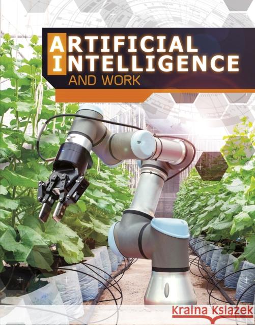 Artificial Intelligence and Work Alicia Z. Klepeis 9781474771061 Capstone Global Library Ltd