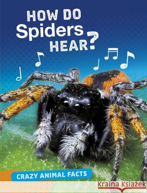 How Do Spiders Hear? Nancy Furstinger 9781474773362