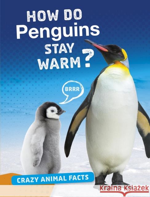 How Do Penguins Stay Warm? Nancy Furstinger 9781474773393