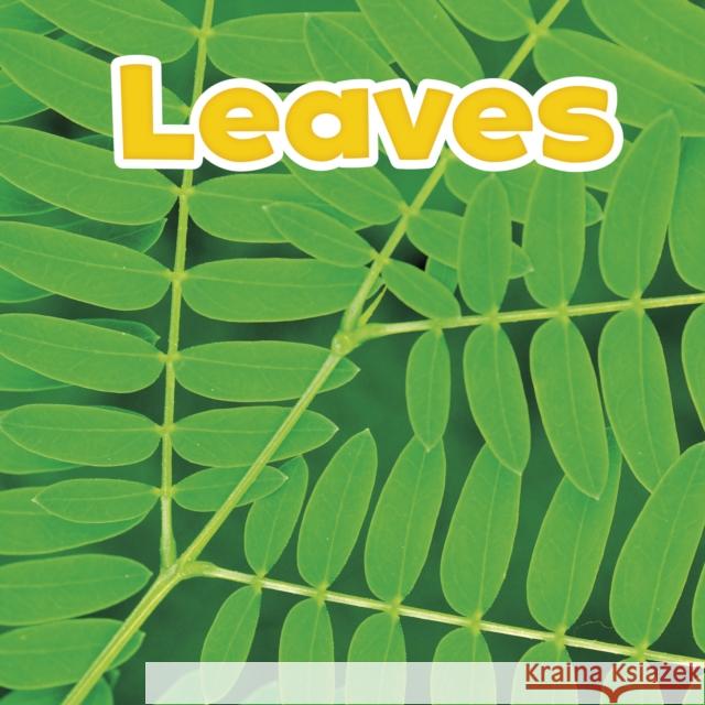 Leaves Marissa (Product Manager) Kirkman 9781474786096