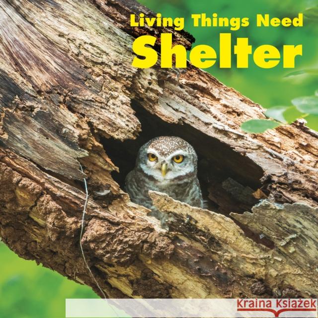 Living Things Need Shelter Karen (Product Manager) Aleo 9781474789950 Capstone Global Library Ltd