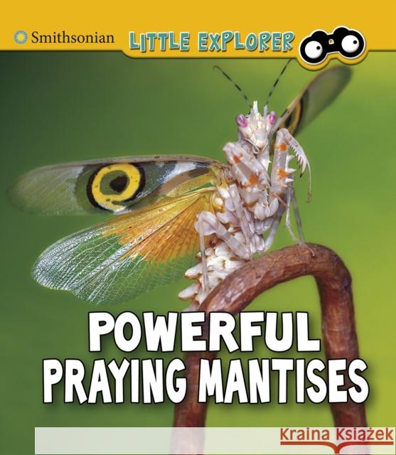 Powerful Praying Mantises Melissa Higgins 9781474794619 Capstone Global Library Ltd