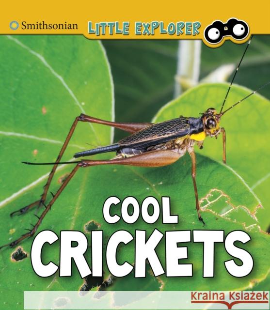 Cool Crickets Megan Cooley Peterson 9781474794749 Capstone Global Library Ltd