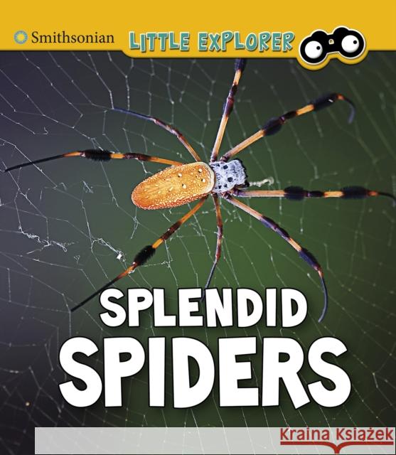 Splendid Spiders Melissa Higgins 9781474794763 Capstone Global Library Ltd