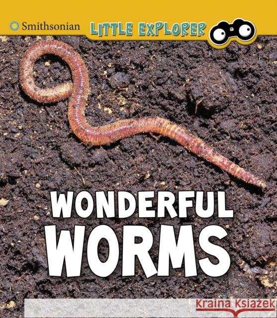 Wonderful Worms Megan Cooley Peterson 9781474794770 Capstone Global Library Ltd