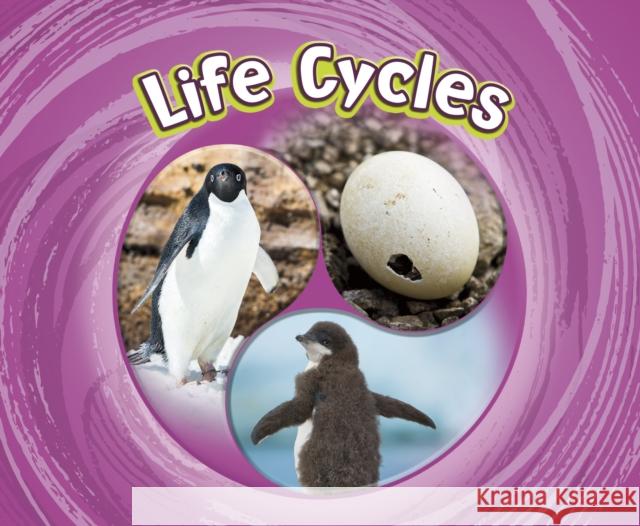 Life Cycles Jaclyn Jaycox 9781474795296 Capstone Global Library Ltd