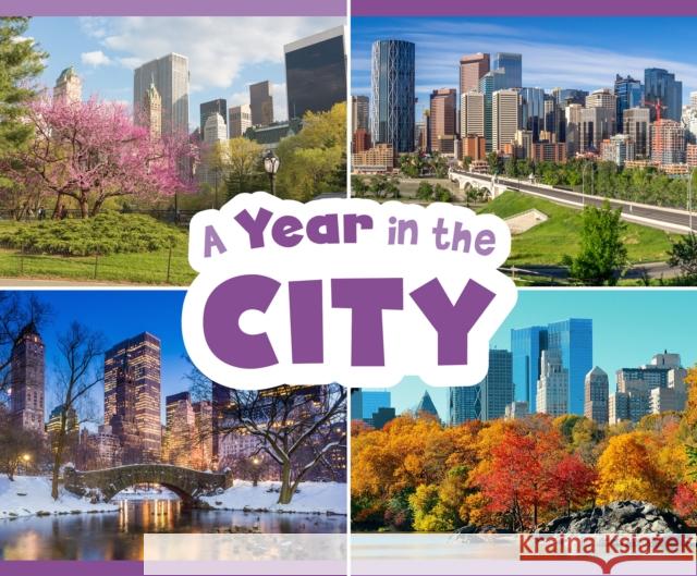 A Year in the City Christina Mia Gardeski 9781474795463