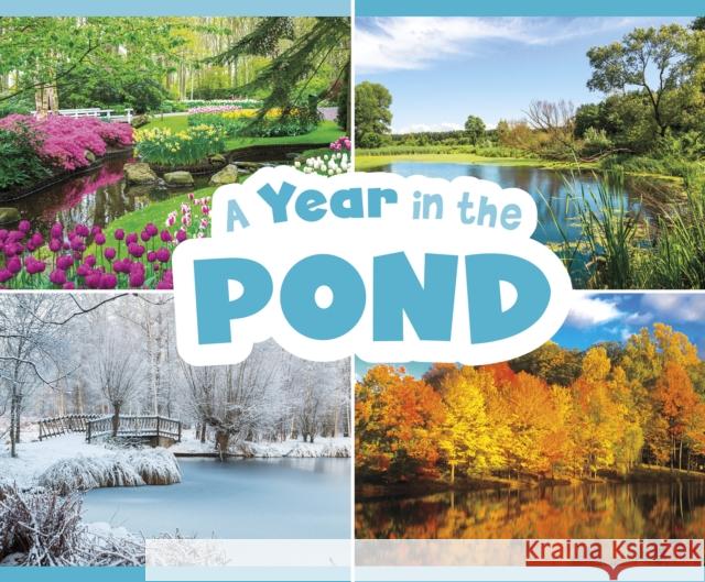 A Year in the Pond Christina Mia Gardeski 9781474795487