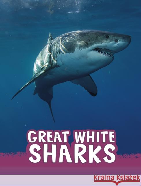 Great White Sharks Jaclyn Jaycox 9781474796200