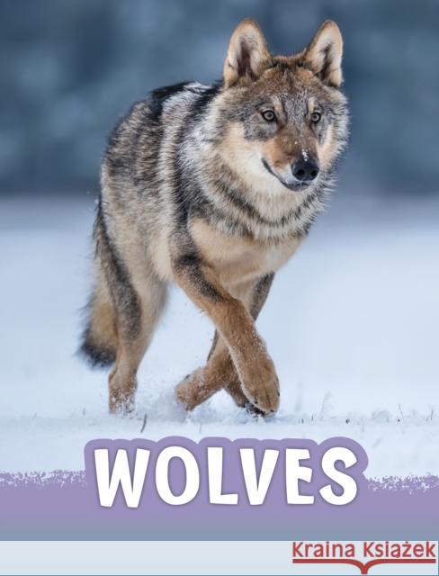 Wolves SCHUH  MARI 9781474796231 RAINTREE PAPERBACKS