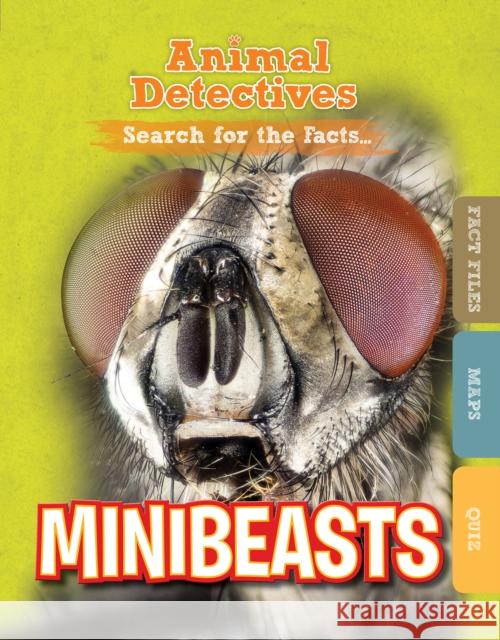 Minibeasts Anne O'Daly 9781474798464